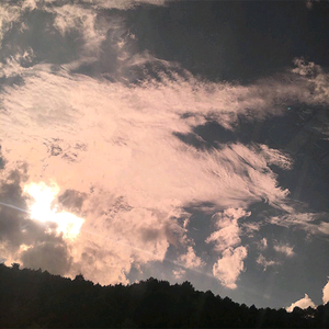 少妇人妻偷人精品无码视频
